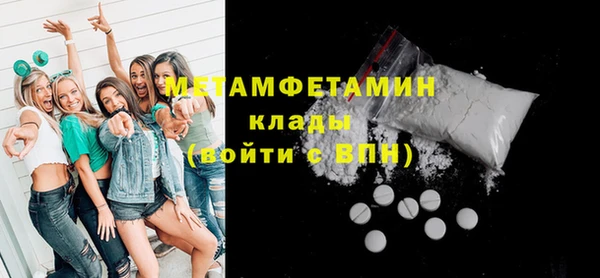 сатива Беломорск