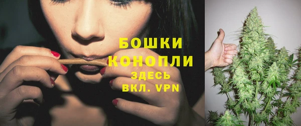 сатива Беломорск