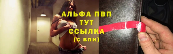 сатива Беломорск