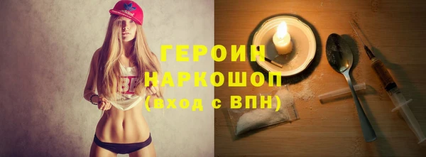 сатива Беломорск