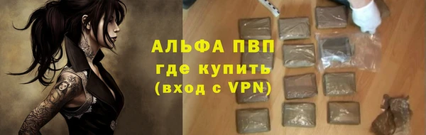 сатива Беломорск