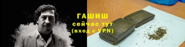 сатива Беломорск