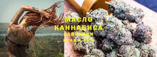 сатива Беломорск
