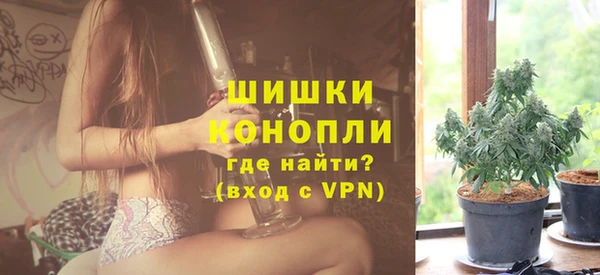 сатива Белокуриха