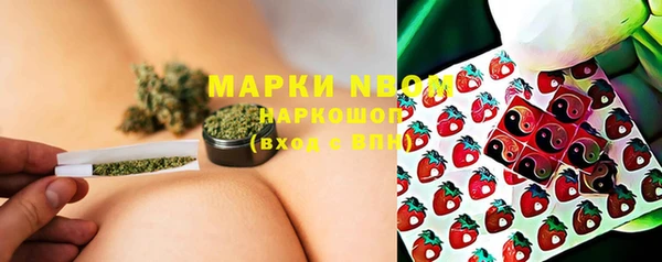 сатива Белокуриха